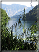 foto Lago di Levico